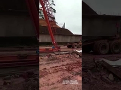 grúa de pórtico video del braguero de la fábrica